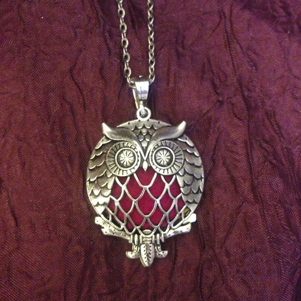 NEW Essential Oil Diffuser Owl Necklace